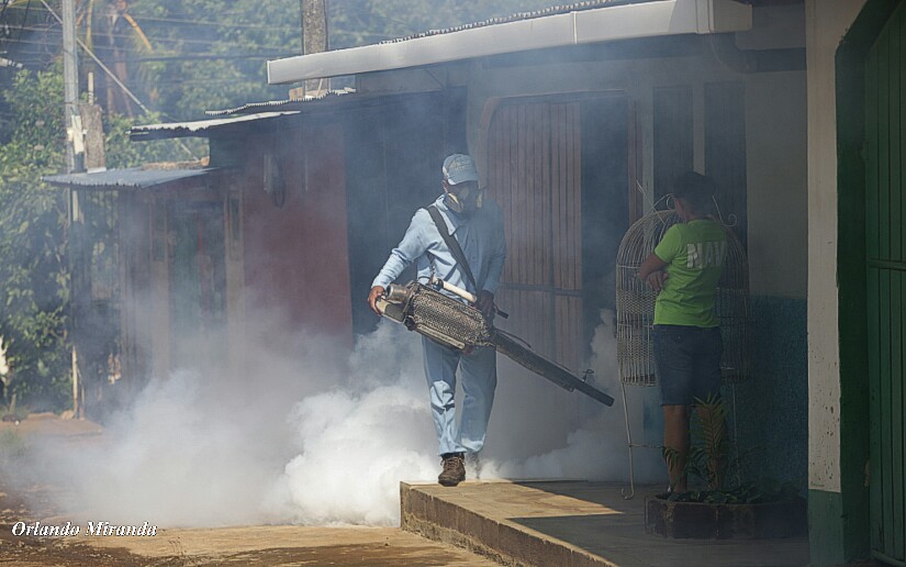 Fumigar2